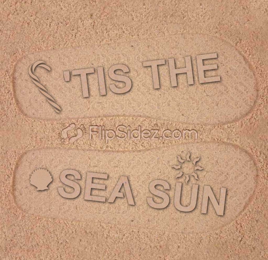Tis The Sea Sun Flip Flops