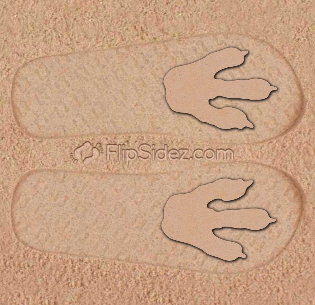 T-Rex Footprints 