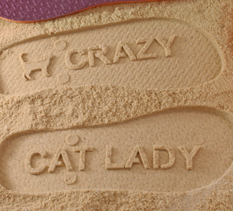 Crazy Cat Lady Flip Flops