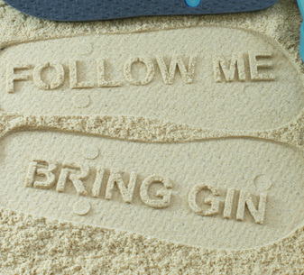 Follow Me Bring Gin Flip Flops