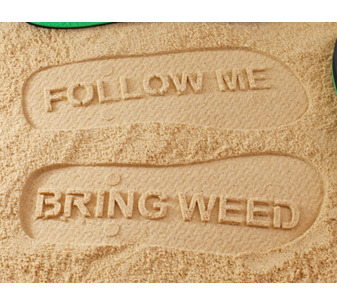 Follow Me Bring Weed Flip Flops