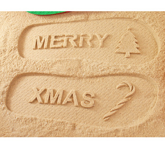 Merry Xmas Flip Flops